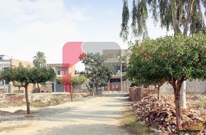 7 Marla Plot for Sale in Allama Iqbal Avenue, Jhangi Wala Road, Bahawalpur