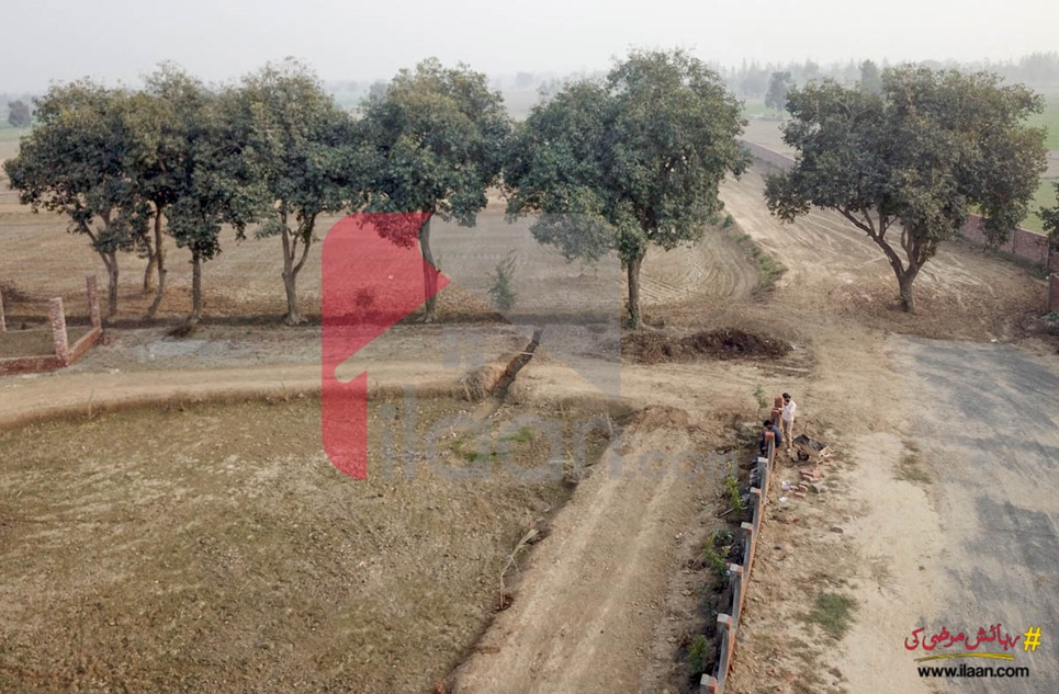 4 Kanal Farm House Land for Sale in S.M Farm House, Sue-e-Asal, Ferozepur Road, Lahore