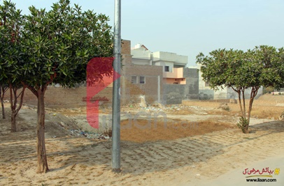 1 Kanal Plot for Sale in Allama Iqbal Avenue, Jhangi Wala Road, Bahawalpur