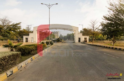 5 Marla Plot for Sale in Block C, Pakistan Atomic Energy Housing Scheme, Lahore