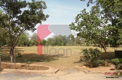1 Kanal Plot for Sale in Phase 1, NFC, Lahore