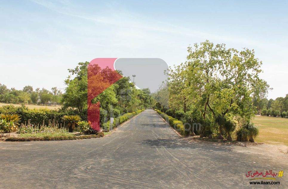 1 Kanal Plot for Sale in Block D, Phase 1, NFC, Lahore