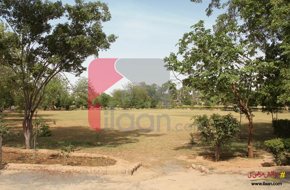 10 Marla Plot for Sale in Block D, Phase 1, NFC, Lahore
