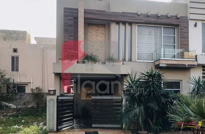 5 Marla House for Rent in Phase 6, DHA Lahore