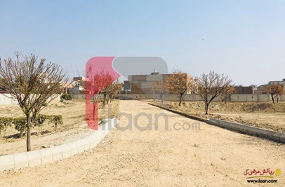 5 Marla Plot (Plot no 137) for Sale in Al Hadi Garden, Bahawalpur