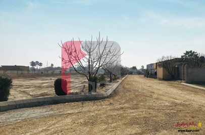10 Marla Plot (Plot no 23) for Sale in Al Hadi Garden, Bahawalpur