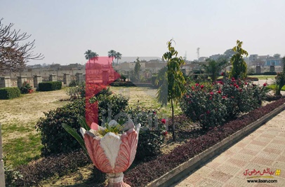 10 Marla Plot (Plot no 13) for Sale in Al Hadi Garden, Bahawalpur