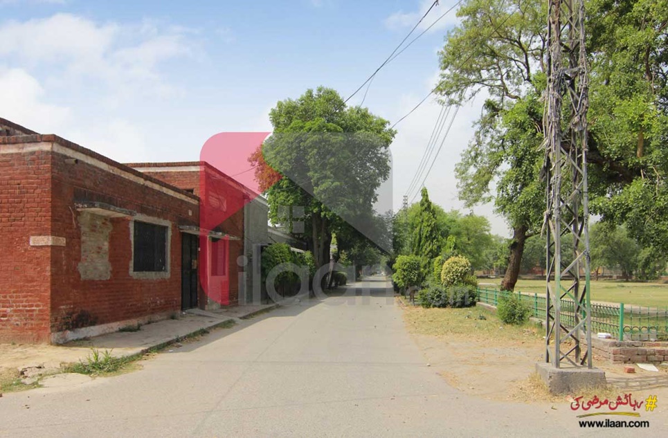 4.4 Marla House for Sale in Wahdat Colony, Lahore