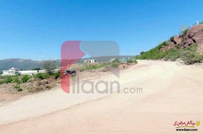 1 Kanal Plot for Sale in C-15, Islamabad