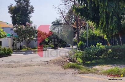 1 Kanal House for Sale in F-6/1, F-6, Islamabad