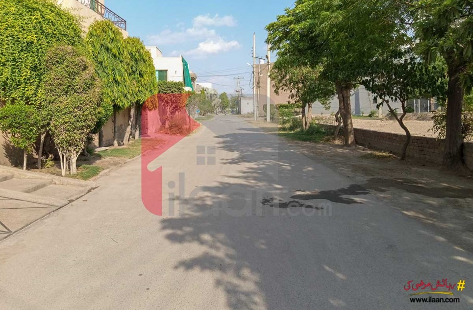 5 Marla House for Rent (Ground Floor) in Green Avenue, Islamabad 