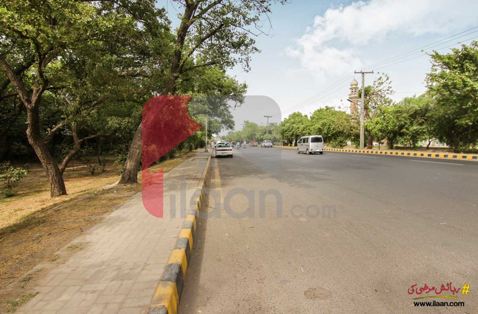 11 Marla Commercial Plot for Sale in Dharampura, Lahore