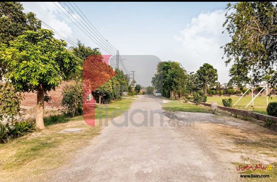 1 Kanal House for Rent in Block B, River View Coop Housing Society, Lahore