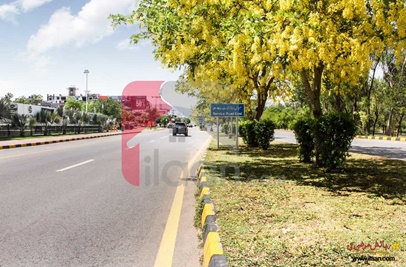 13.3 Marla Building for Rent in F-10/3, Islamabad
