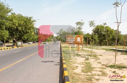 1.9 Marla Office for Rent in G-11, Islamabad