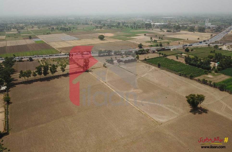 165 Kanal Industrial Land for Sale on Multan Road, Phool Nagar, Kasur