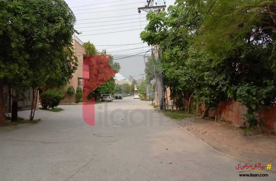5 Marla House for Rent in Ali View Garden, Lahore
