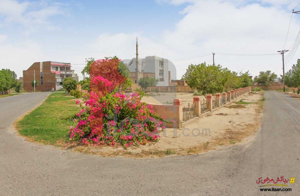 7 Marla House for Rent in Aman Society Housing Scheme, Bahawalpur