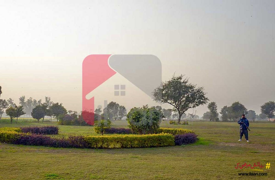 1 Kanal Plot for Sale in Alfalah Cooperative Housing Society, Lahore
