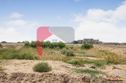 10 Marla Plot for Sale in Block C, Phase 1, DHA, Bahawalpur
