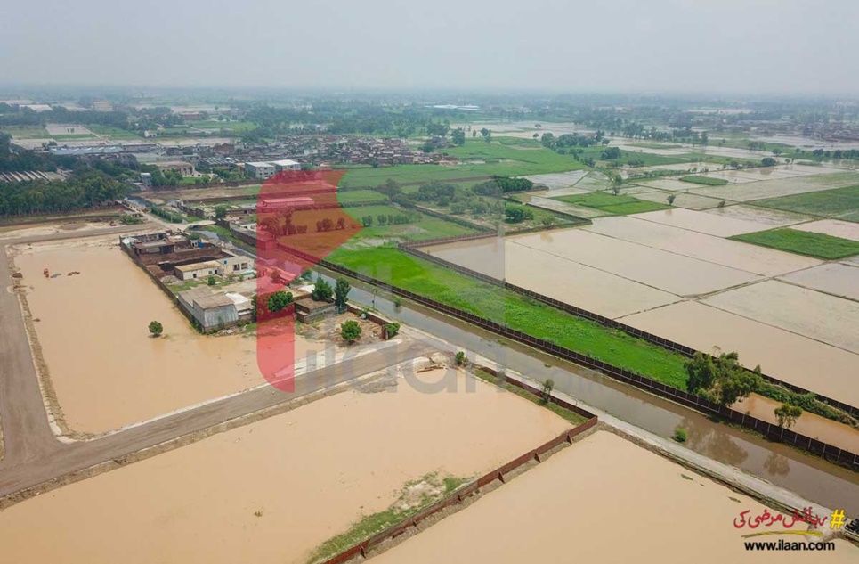 4 Kanal Plot for Sale in Nabi Bakshwala, Ferozepur Road, Lahore