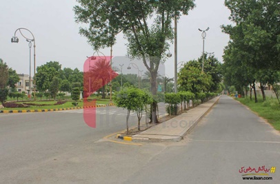 5 Marla Plot for Sale in Block C, Master City Housing Scheme, Gujranwala