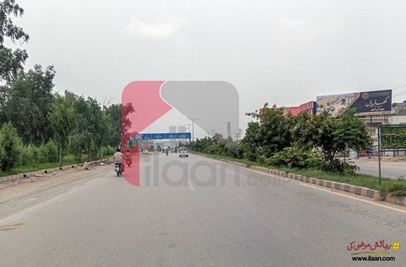 1.3 Marla Commercial Plot for Sale in Alipur Bypass Gujranwala