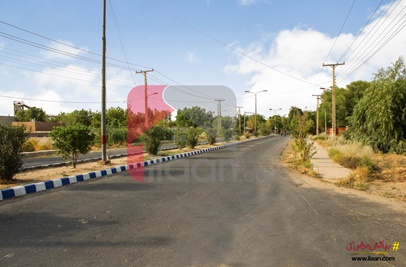 1 Kanal Plot for Sale in Block A, Government Employees Cooperative Housing Society, Bahawalpur